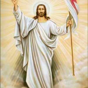 Meet your Posher, Lupe